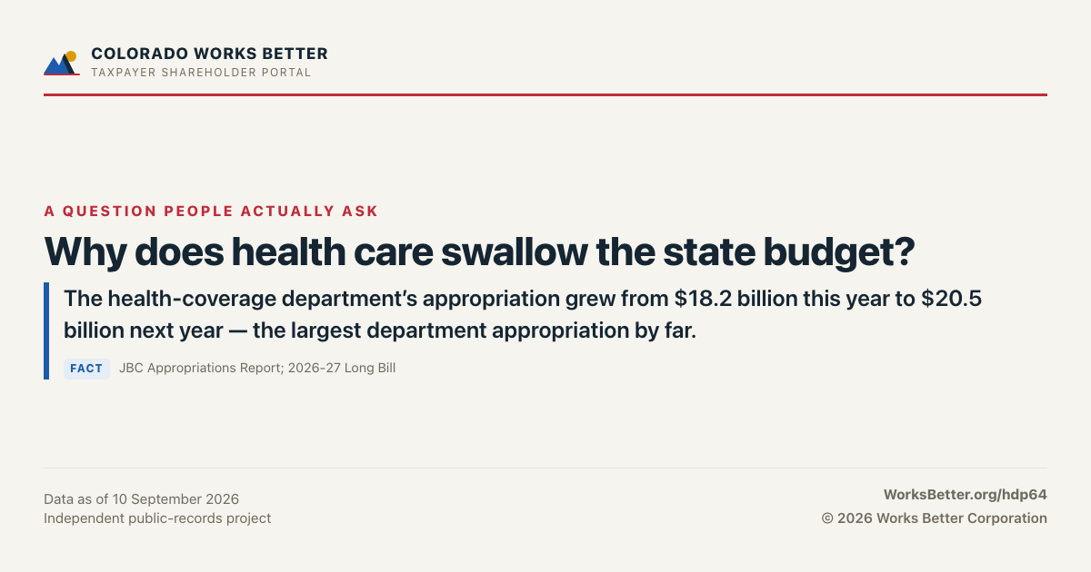 Why does health care swallow the state budget? — The health-coverage department’s appropriation grew from $18.2 billion this year to $20.5 billion next year — the largest department appropriation by far.